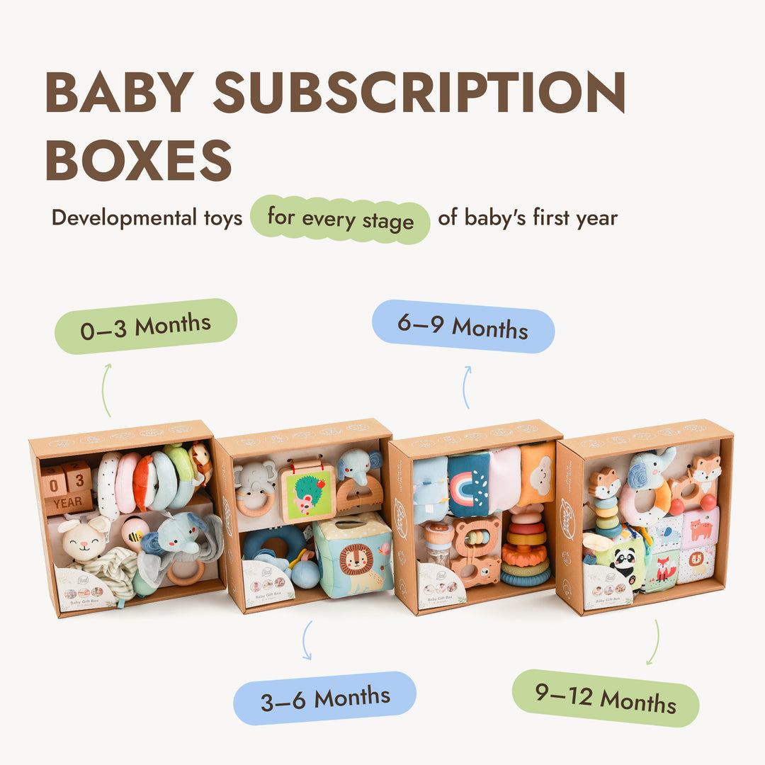 BabyBox — First Year Play Kits (0–12 Months)