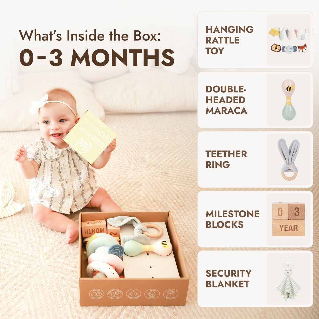BabyBox — First Year Play Kits (0–12 Months)