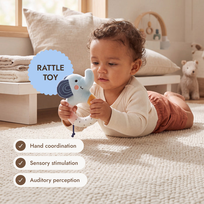 BabyBox — First Year Play Kits (0–12 Months)