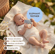 BabyBox — First Year Play Kits (0–12 Months)